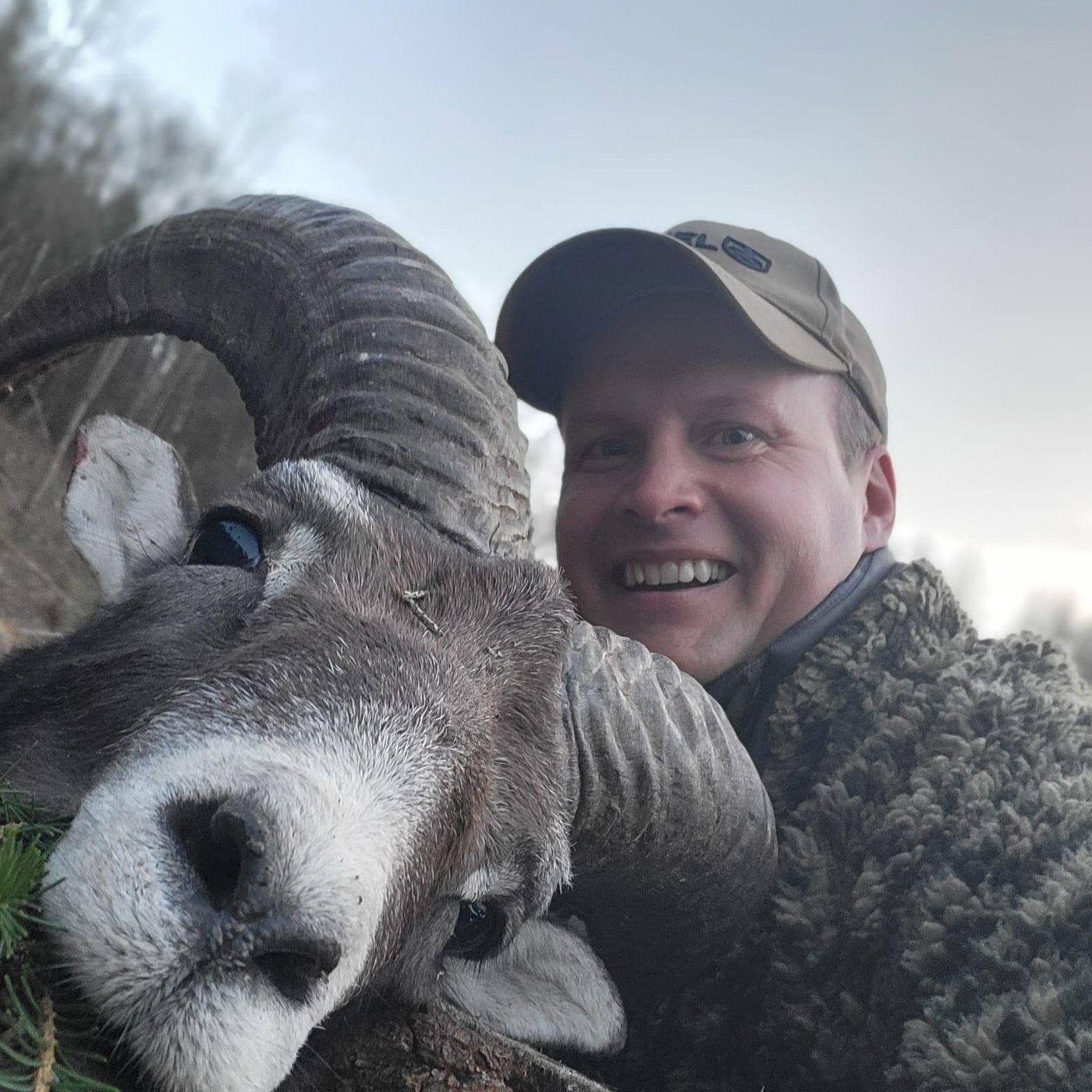 Apollo, Ingos Jagdfreund, mit erlegtem Jährlingswidder (Muffelwild)